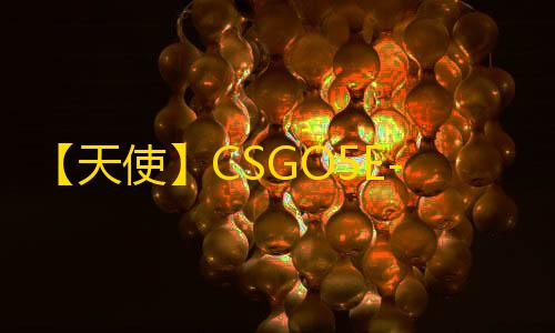 【天使】CSGO5E-辅助