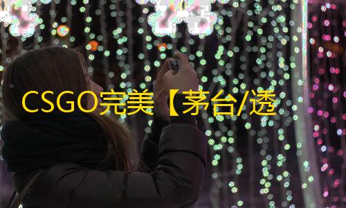CSGO完美【茅台/透饰/梓喵/支持完美】辅助
