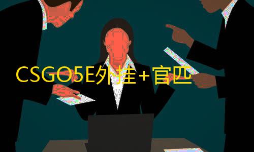 CSGO5E外挂+官匹【小龙人/透饰/梓喵】辅助